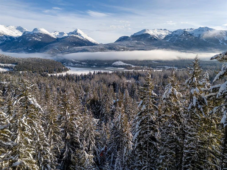 8377 Mountain View Drive, Whistler, BC, V8E 0G3 - 16
