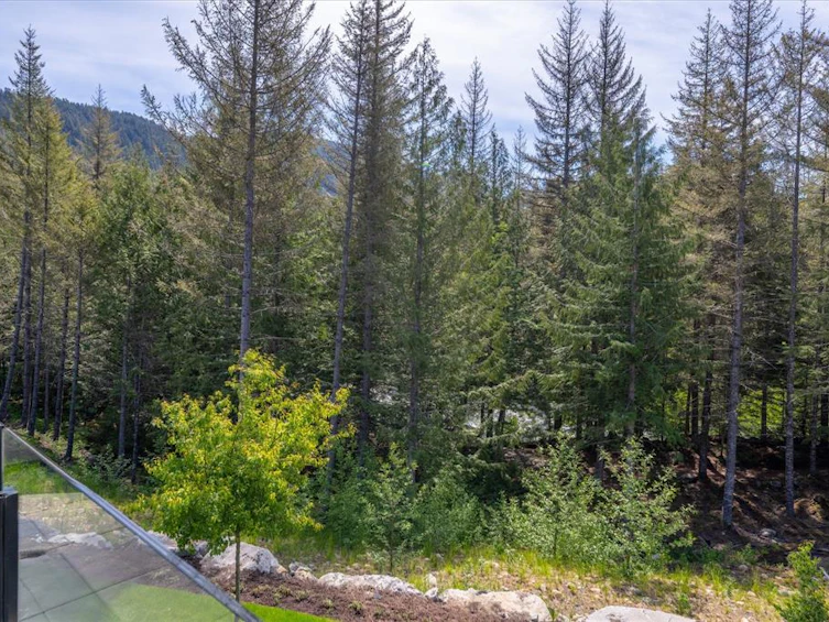 1804 Mount Fee Road, Whistler, BC, V8E 1P4 - 11