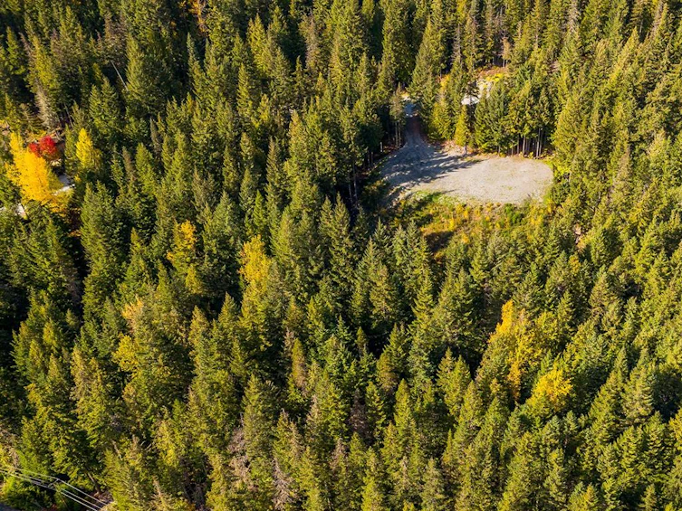 5408 Stonebridge Drive, Whistler, BC, V8E 0V9 - 19