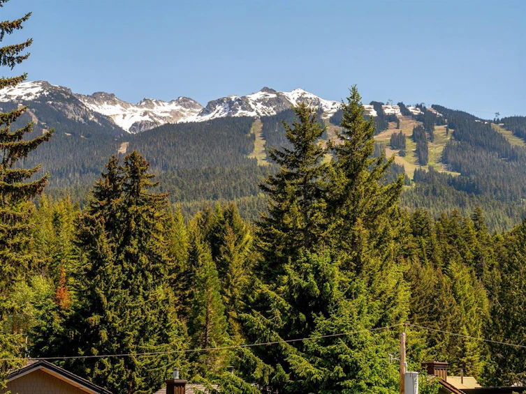 7325 Toni Sailer Lane, Whistler, BC, V8E 0E3 - 34