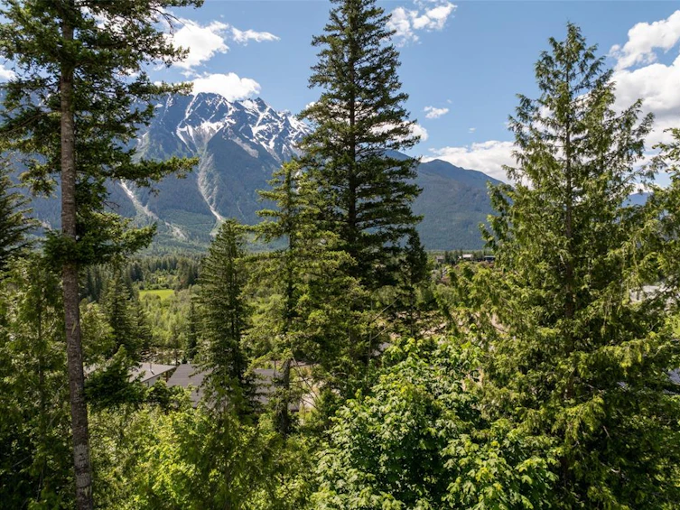 7677 Cerulean Drive, Pemberton, BC, V0N 2L3 - 4