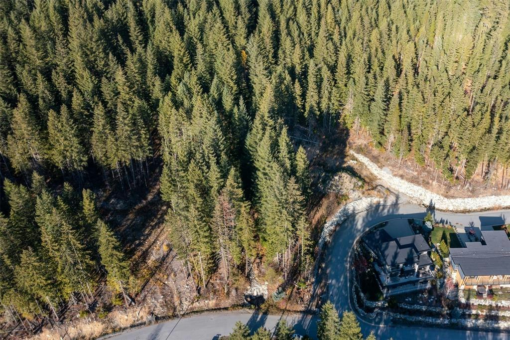 8622 Maelle Ricker Lane, Whistler, BC, V8E 1L9 - 9