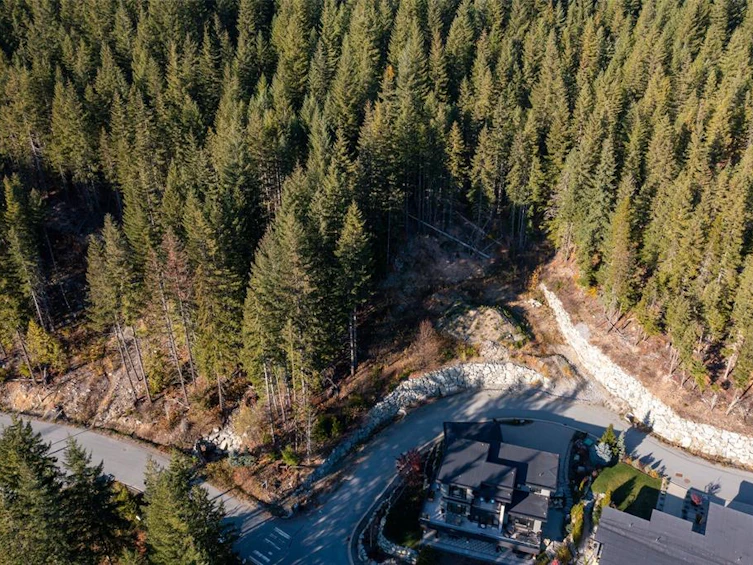 8622 Maelle Ricker Lane, Whistler, BC, V8E 1L9 - 4
