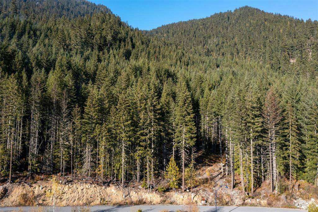 8622 Maelle Ricker Lane, Whistler, BC, V8E 1L9 - 13