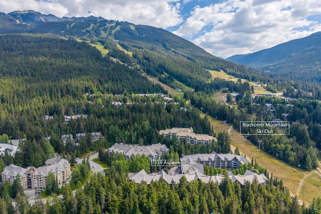 338-4800 Spearhead Drive, Whistler, BC, V8E 1G1 - 18
