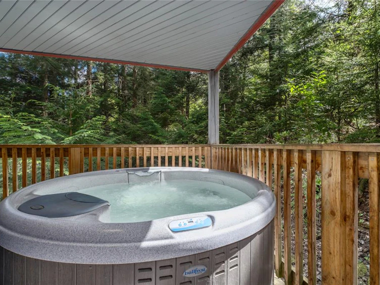 F-2317 Brandywine Way, Whistler, BC, V8E 0A8 - 5