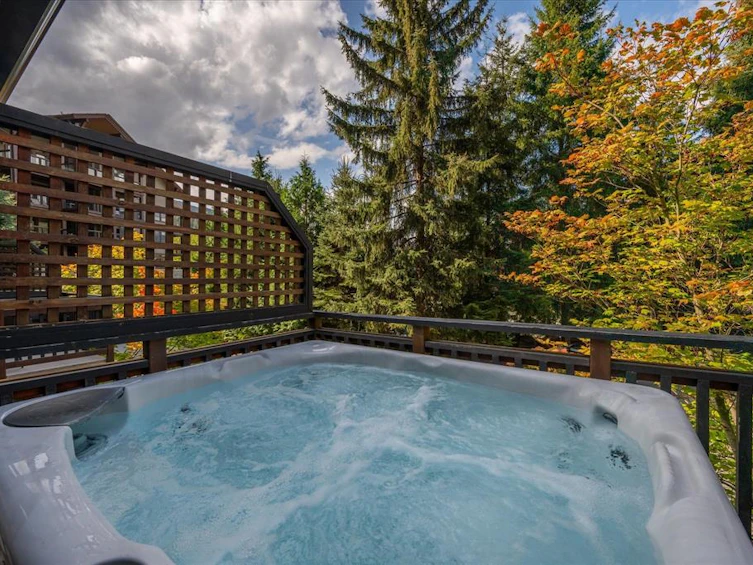 4-2014 London Lane, Whistler, BC, V8E 0B6 - 9