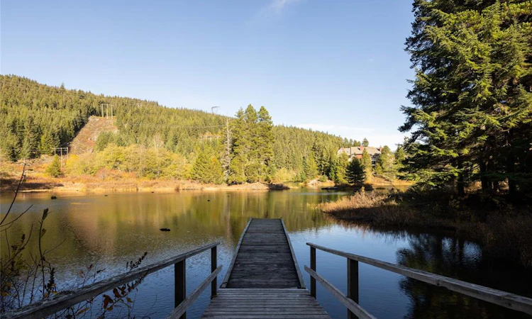 K205-1400 Alta Lake Road