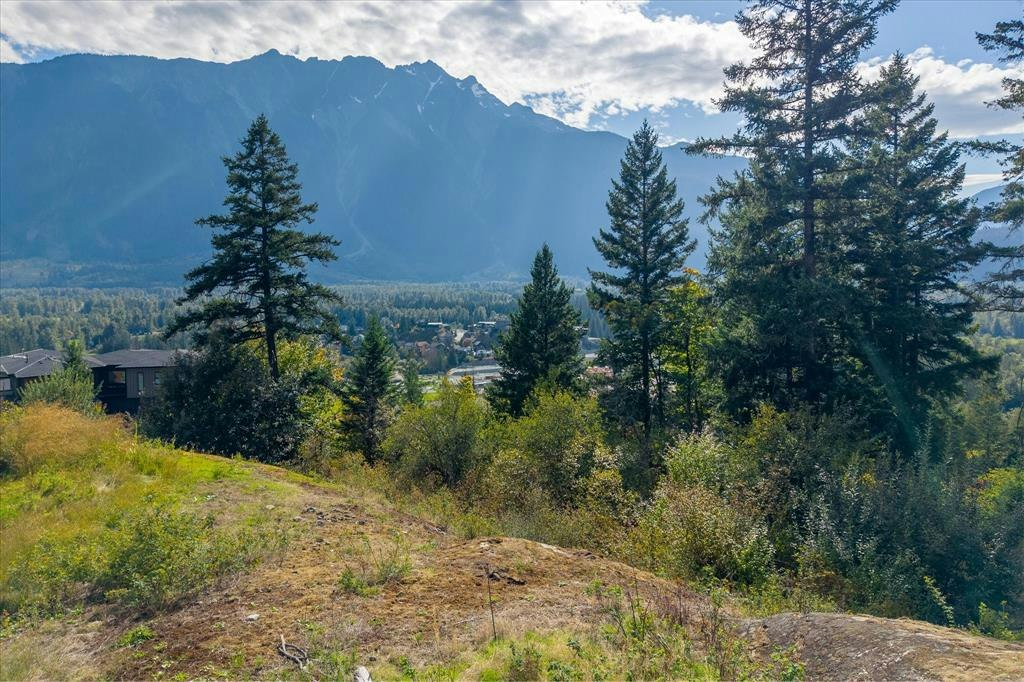 1705 Wishbone Court, Pemberton, BC, V0N 2L1 - 4
