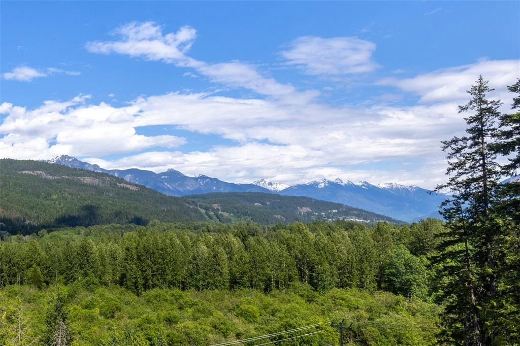 1305 Eagle Drive, Pemberton, BC, V0N 2L1 - 31