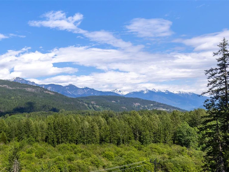 1305 Eagle Drive, Pemberton, BC, V0N 2L1 - 31