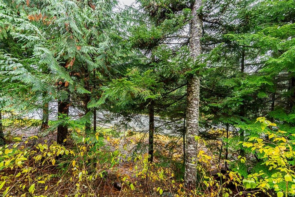 5-2240 Nordic Drive, Whistler, BC, V8E 0P3 - 28