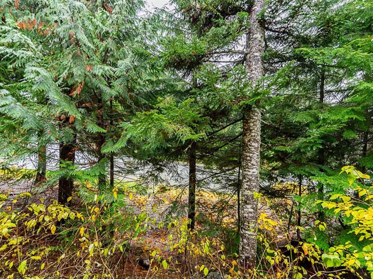 5-2240 Nordic Drive, Whistler, BC, V8E 0P3 - 28