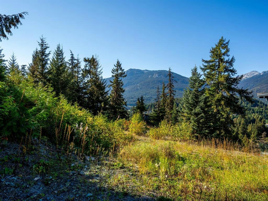 3853 Sunridge Court, Whistler, BC, V8E 0W1 - 8