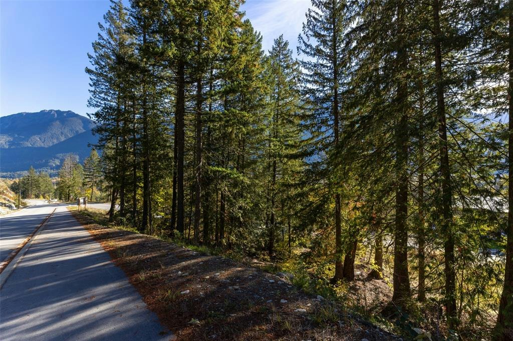 8203 Merlot Peak Drive, Pemberton, BC, V0N 2L3 - 5