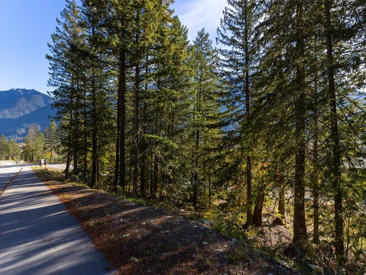 8203 Merlot Peak Drive, Pemberton, BC, V0N 2L3 - 5