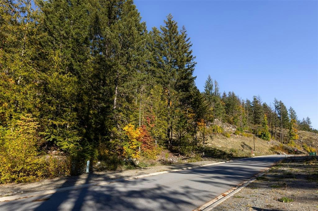 8203 Merlot Peak Drive, Pemberton, BC, V0N 2L3 - 13