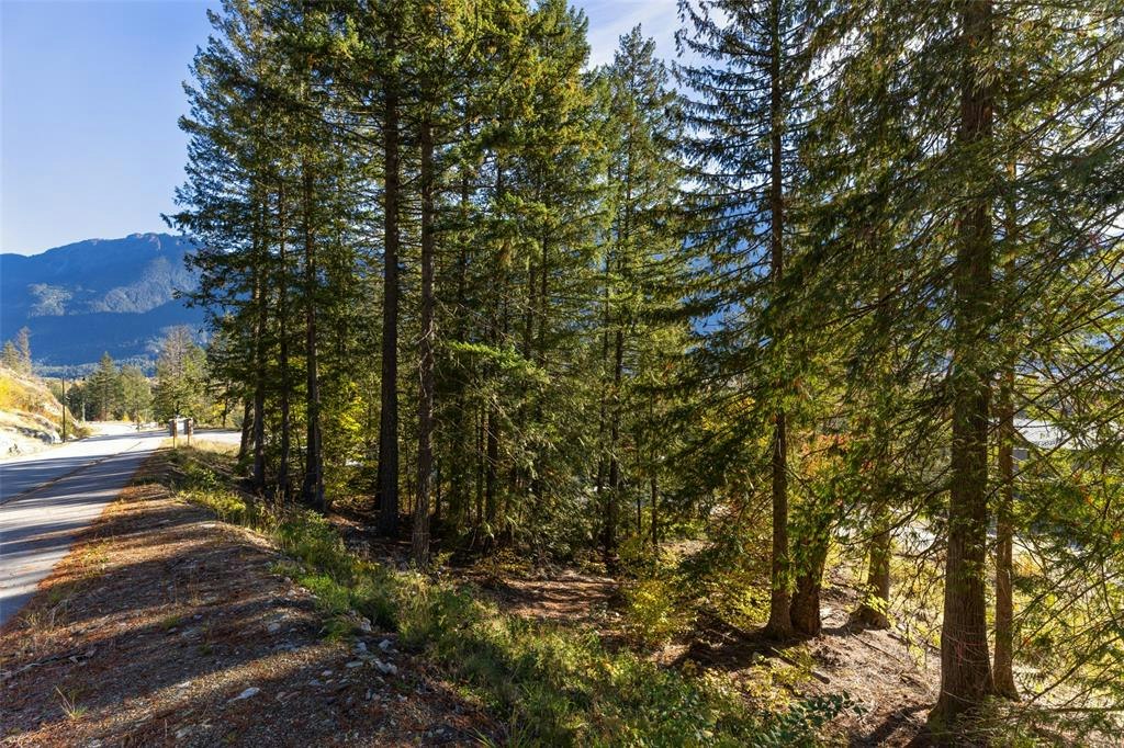 8203 Merlot Peak Drive, Pemberton, BC, V0N 2L3 - 4