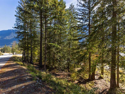 8203 Merlot Peak Drive - 4