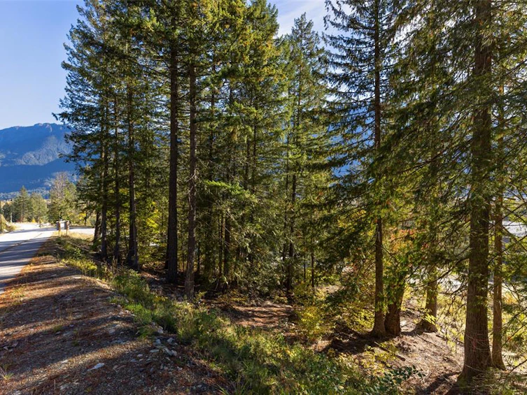 8203 Merlot Peak Drive, Pemberton, BC, V0N 2L3 - 4