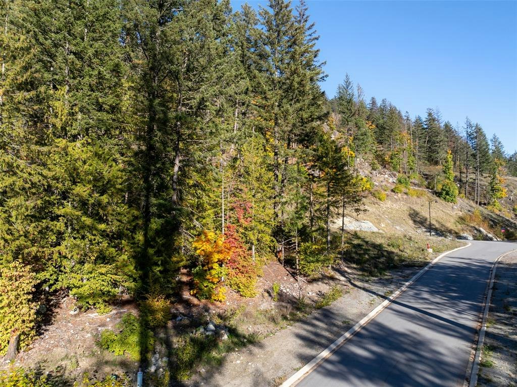 8203 Merlot Peak Drive, Pemberton, BC, V0N 2L3 - 14