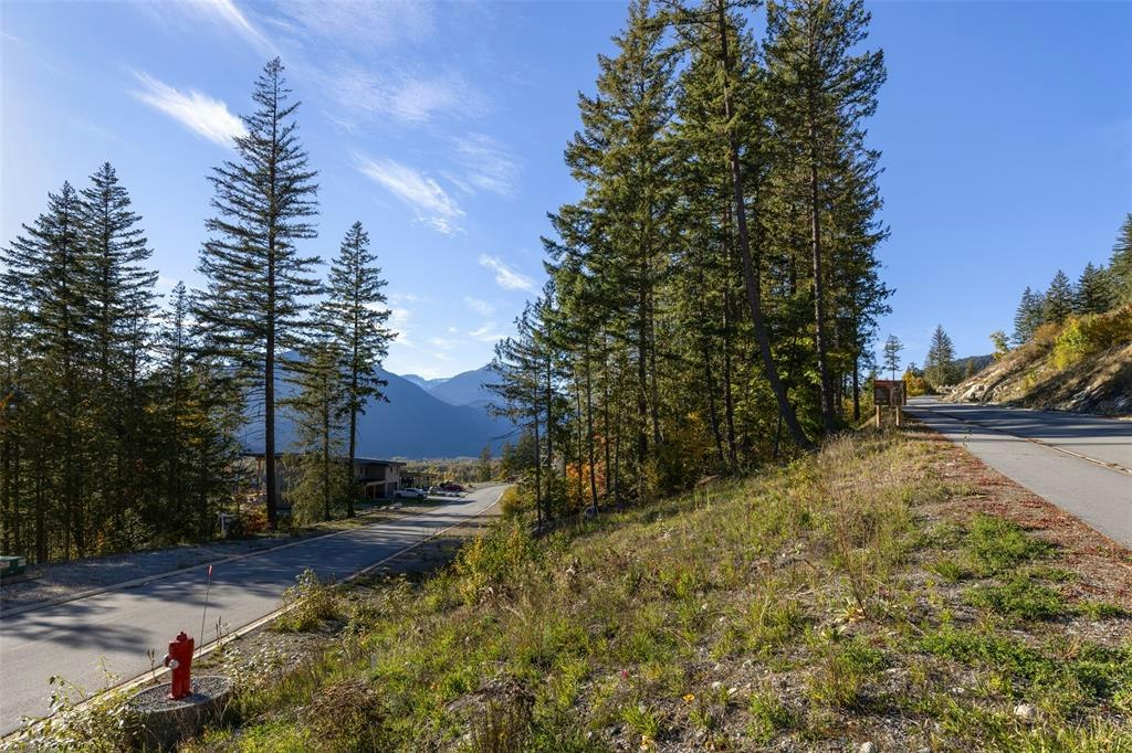 8203 Merlot Peak Drive, Pemberton, BC, V0N 2L3 - 3