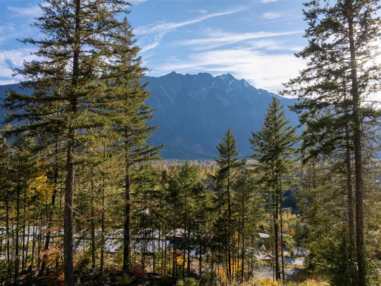 8203 Merlot Peak Drive, Pemberton, BC, V0N 2L3 - 19