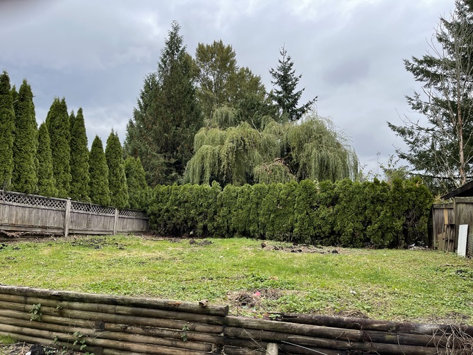 11692 225 Street, Maple Ridge, BC, V2X 6E4 - 12