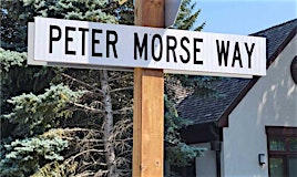 Lot 1 Peter Morse Way, Toronto, ON