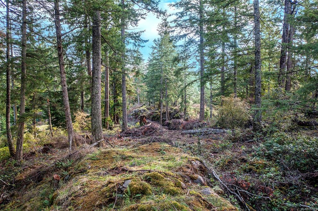 Lot-A April Point Road, Quadra Island, BC, V0P 1N0 - 5