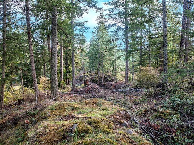 Lot-A April Point Road, Quadra Island, BC, V0P 1N0 - 5