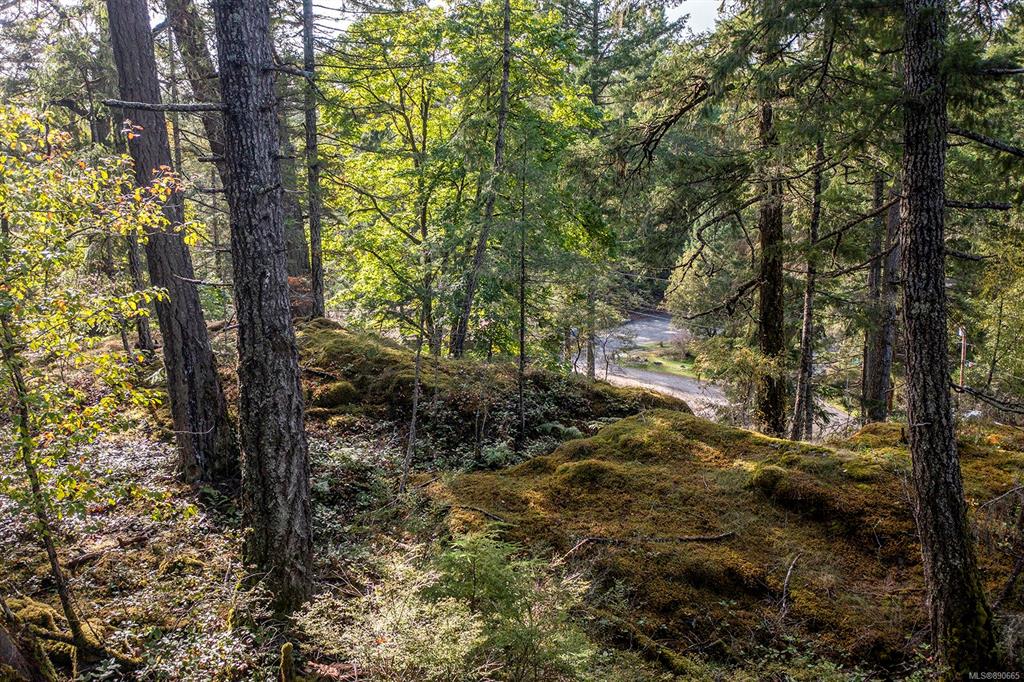 Lot-A April Point Road, Quadra Island, BC, V0P 1N0 - 6