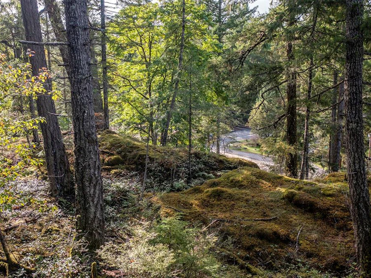 Lot-A April Point Road, Quadra Island, BC, V0P 1N0 - 6