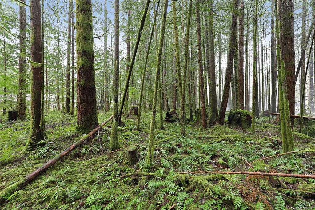 4374 Forbidden Plateau Road, Courtenay, BC, V9J 1R2 - 3