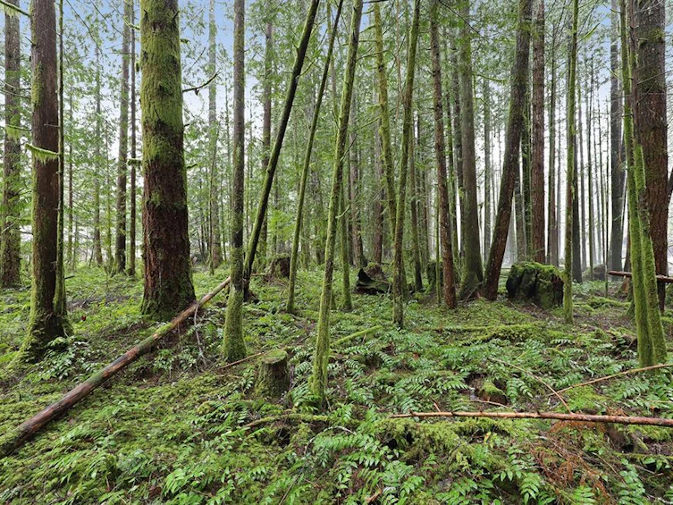 4374 Forbidden Plateau Road, Courtenay, BC, V9J 1R2 - 3