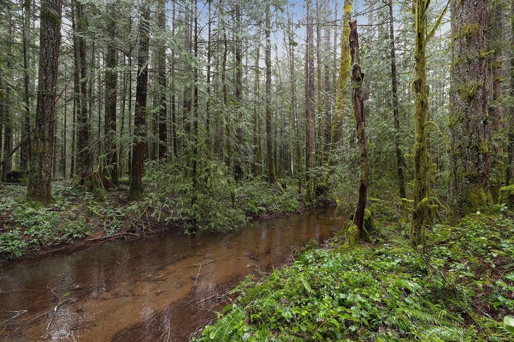4374 Forbidden Plateau Road, Courtenay, BC, V9J 1R2 - 5