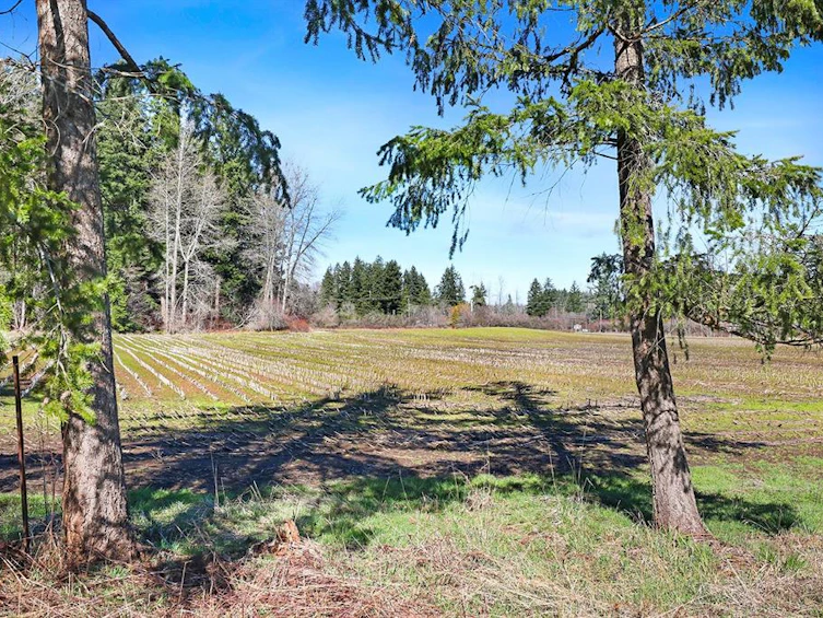 4735 Condensory Road, Courtenay, BC, V9J 1R6 - 51