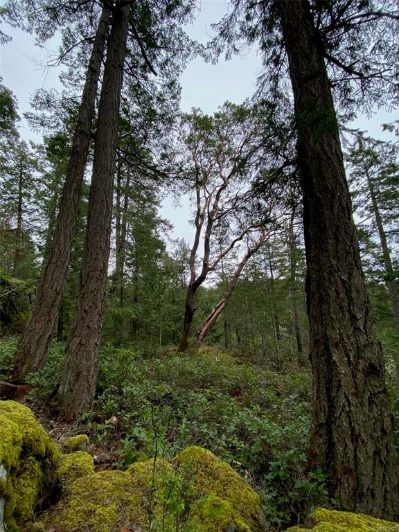 10 Norton Drive, Campbell River Area Small Islands, BC, V0P 1K0 - 7