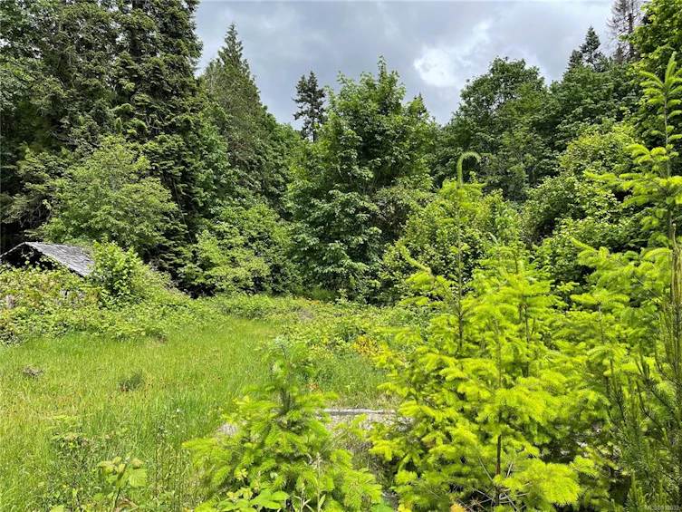 Lot 16 Brown Road, Port Alberni, BC, V9Y 6Z8
