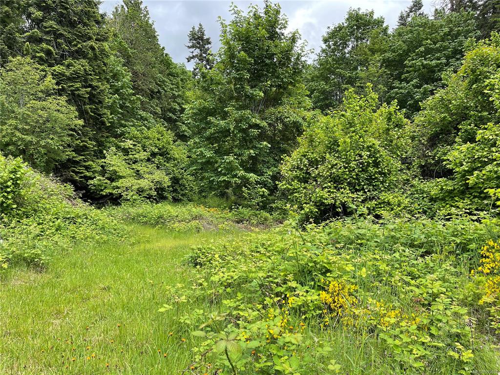 Lot 17 Brown Road, Port Alberni, BC, V9Y 6Z8