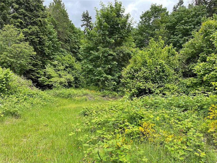 Lot 17 Brown Road, Port Alberni, BC, V9Y 6Z8