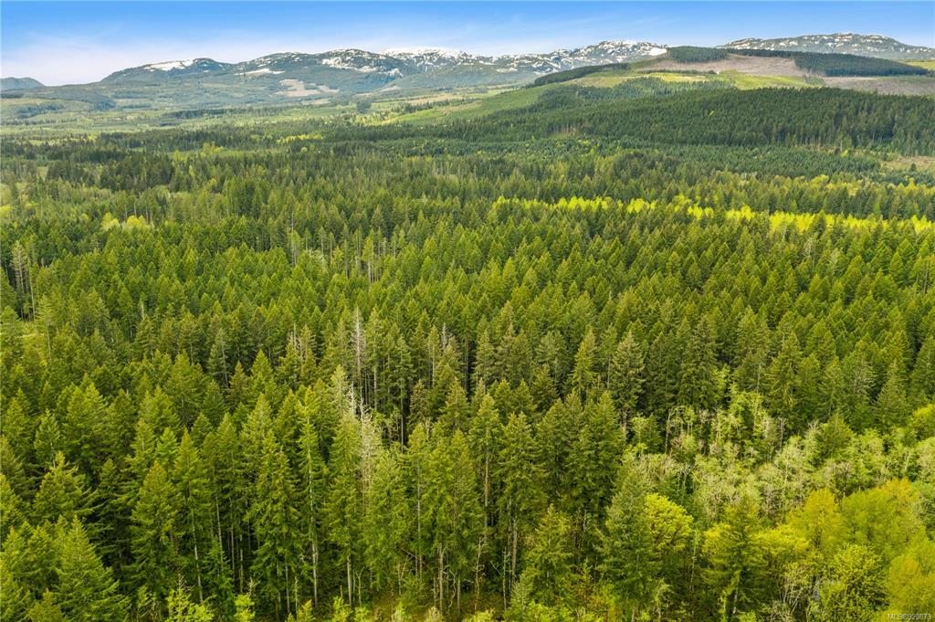 6413 Fitzgerald Road, Merville, BC, V9J 1N7
