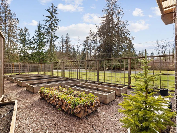 2933 Baird Road, Cumberland, BC, V9N 9N6 - 64