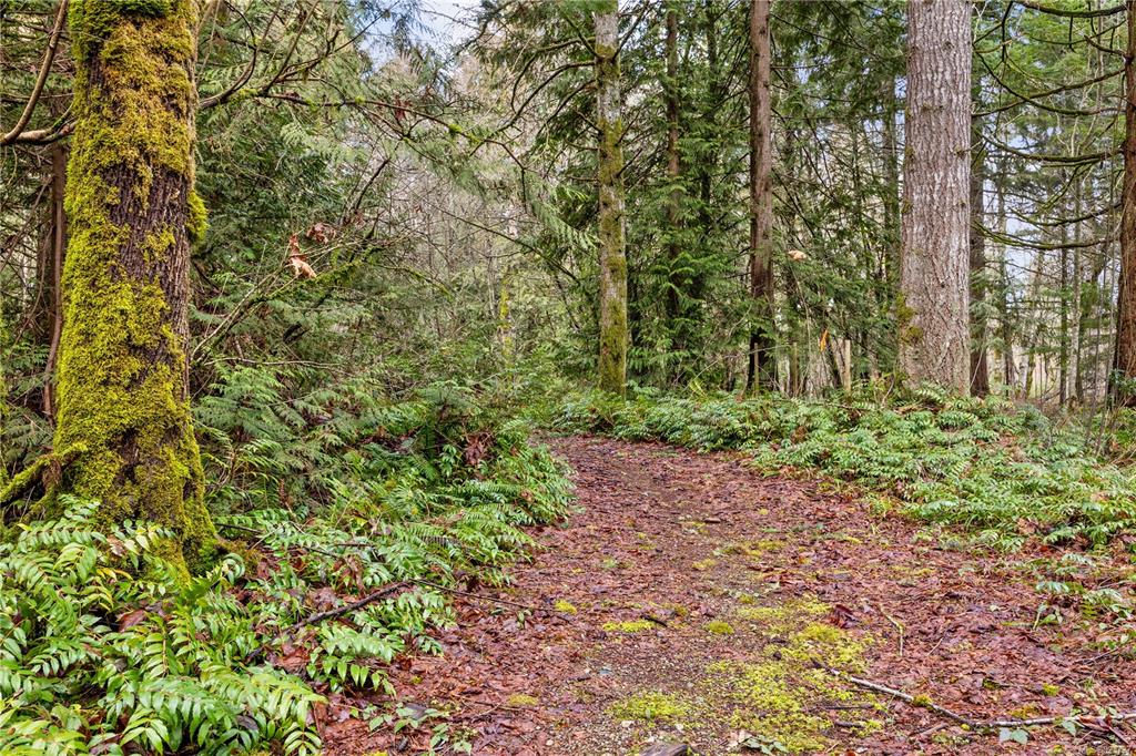 2933 Baird Road, Cumberland, BC, V9N 9N6 - 70