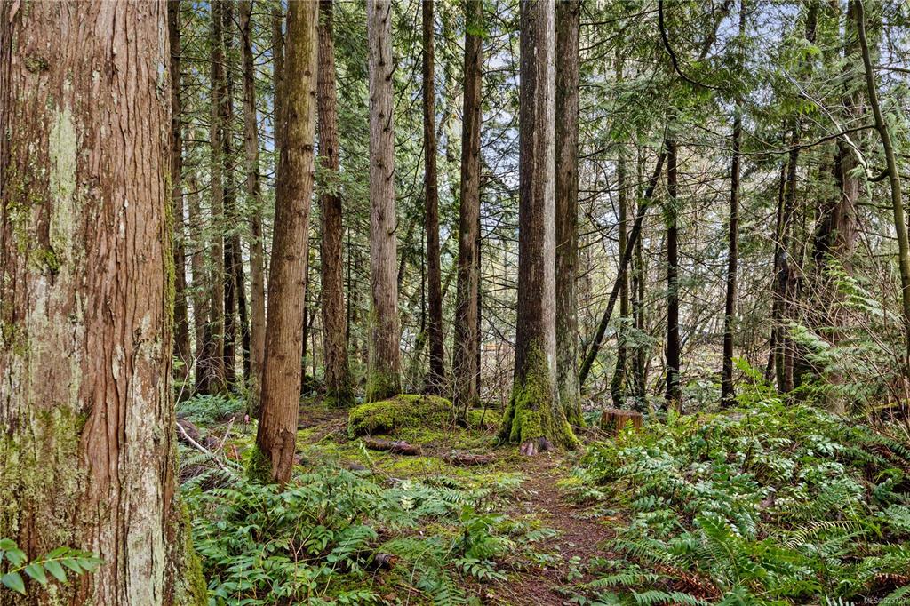 2933 Baird Road, Cumberland, BC, V9N 9N6 - 74