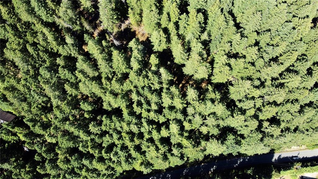 Lot A Whaletown Road, Cortes Island, BC, V0P 1Z0 - 3