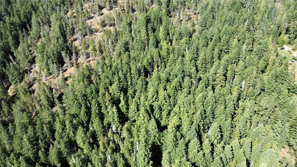 Lot A Whaletown Road, Cortes Island, BC, V0P 1Z0 - 4