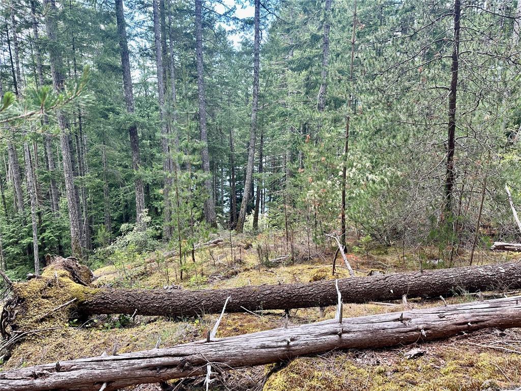 Lot A Whaletown Road, Cortes Island, BC, V0P 1Z0 - 6