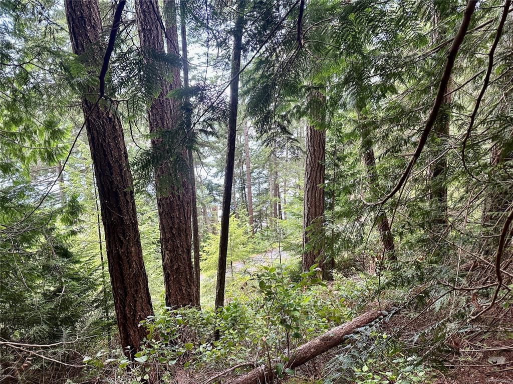 Lot A Whaletown Road, Cortes Island, BC, V0P 1Z0 - 7
