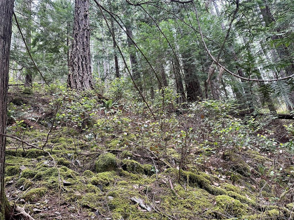 Lot A Whaletown Road, Cortes Island, BC, V0P 1Z0 - 8